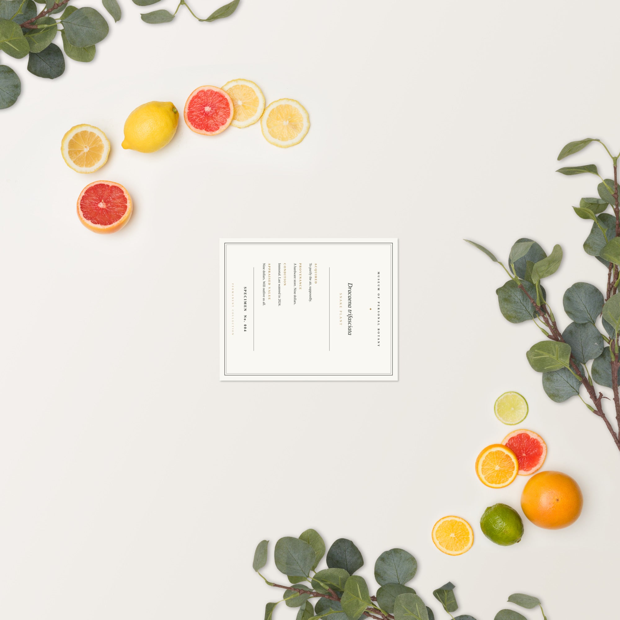 Product mockup