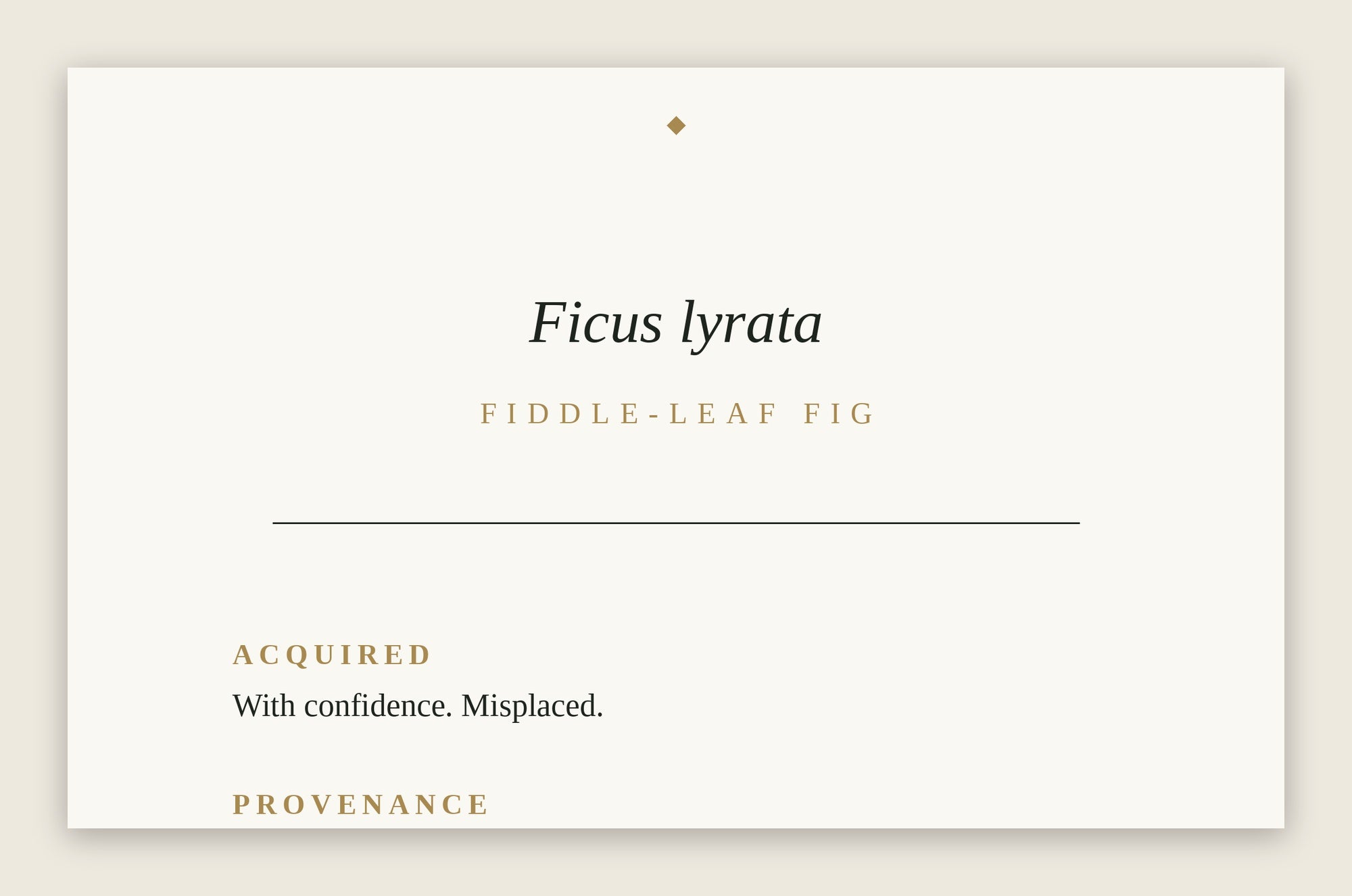 The Museum Placard — Golden Pothos
