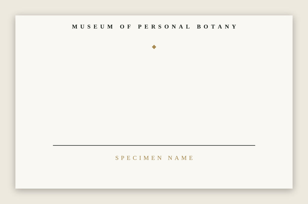 The Museum Placard — Blank Edition