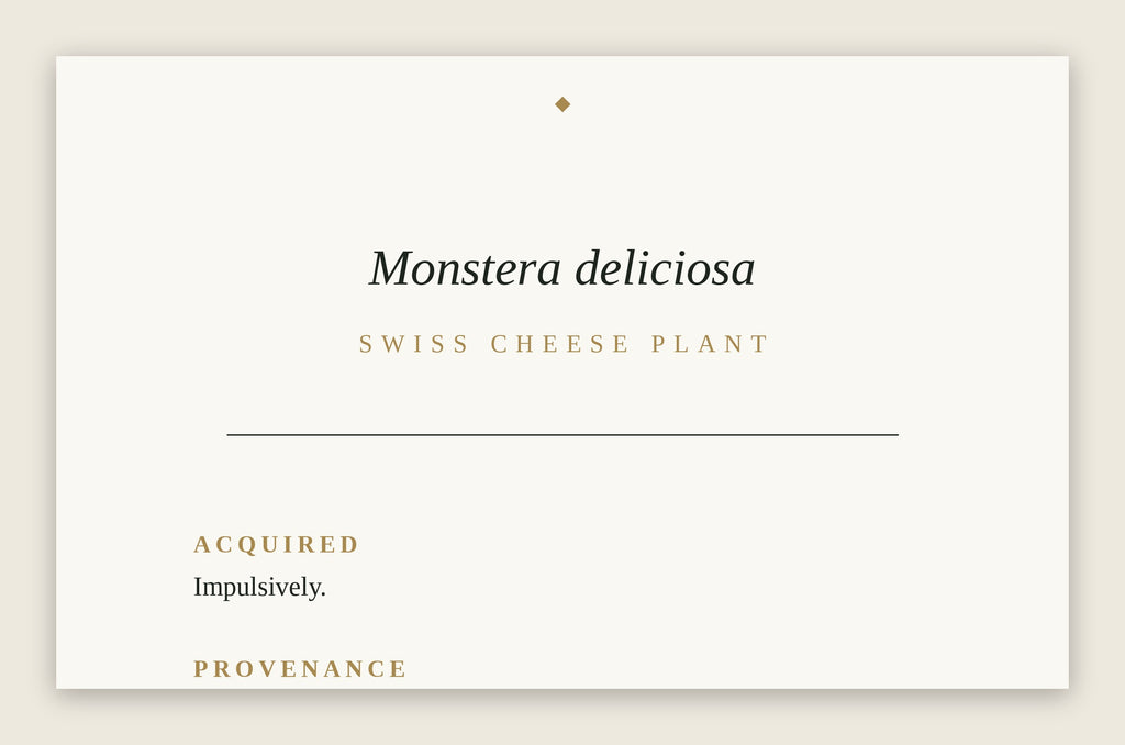 The Museum Placard — Monstera