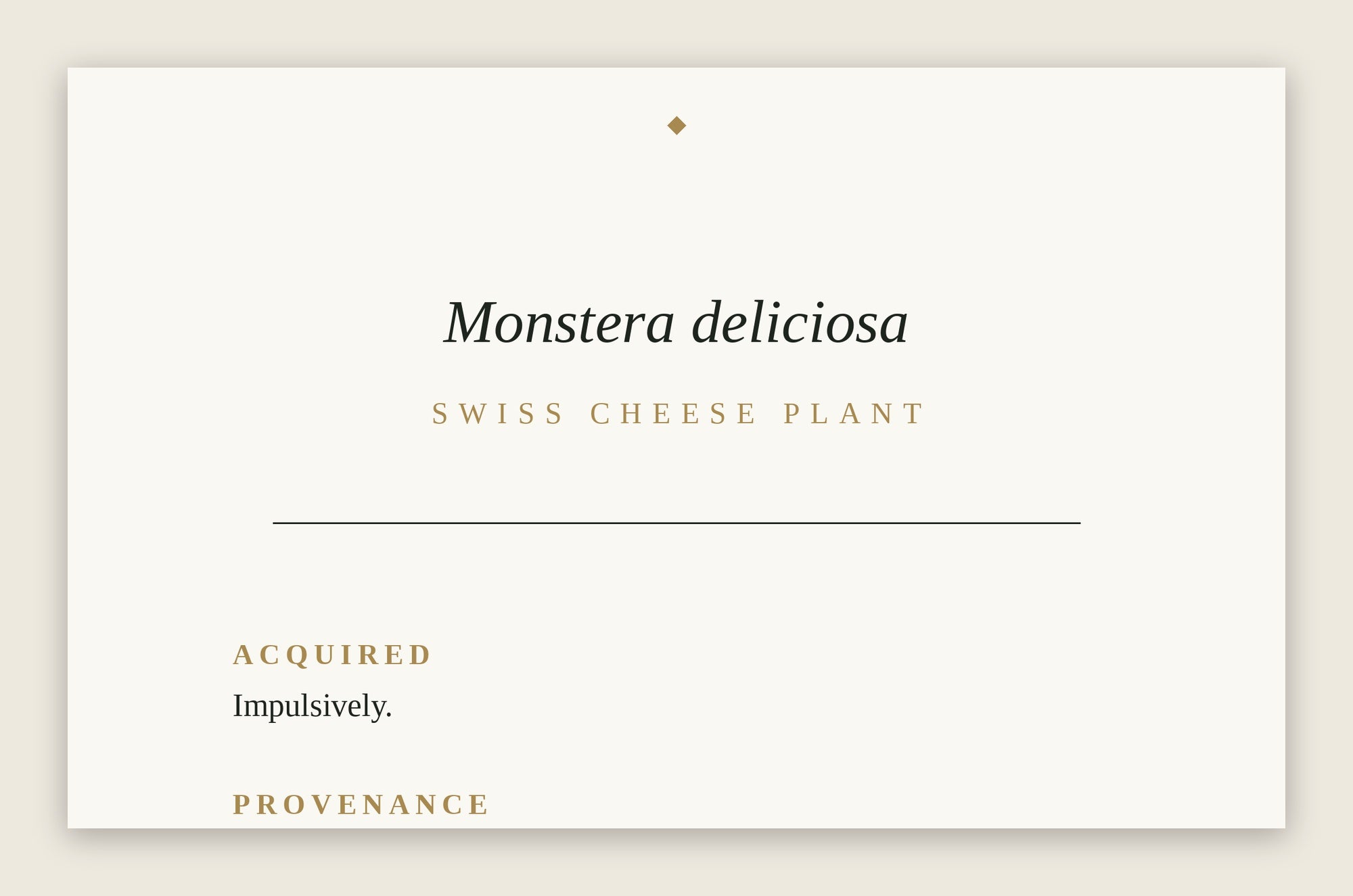 The Museum Placard — Monstera