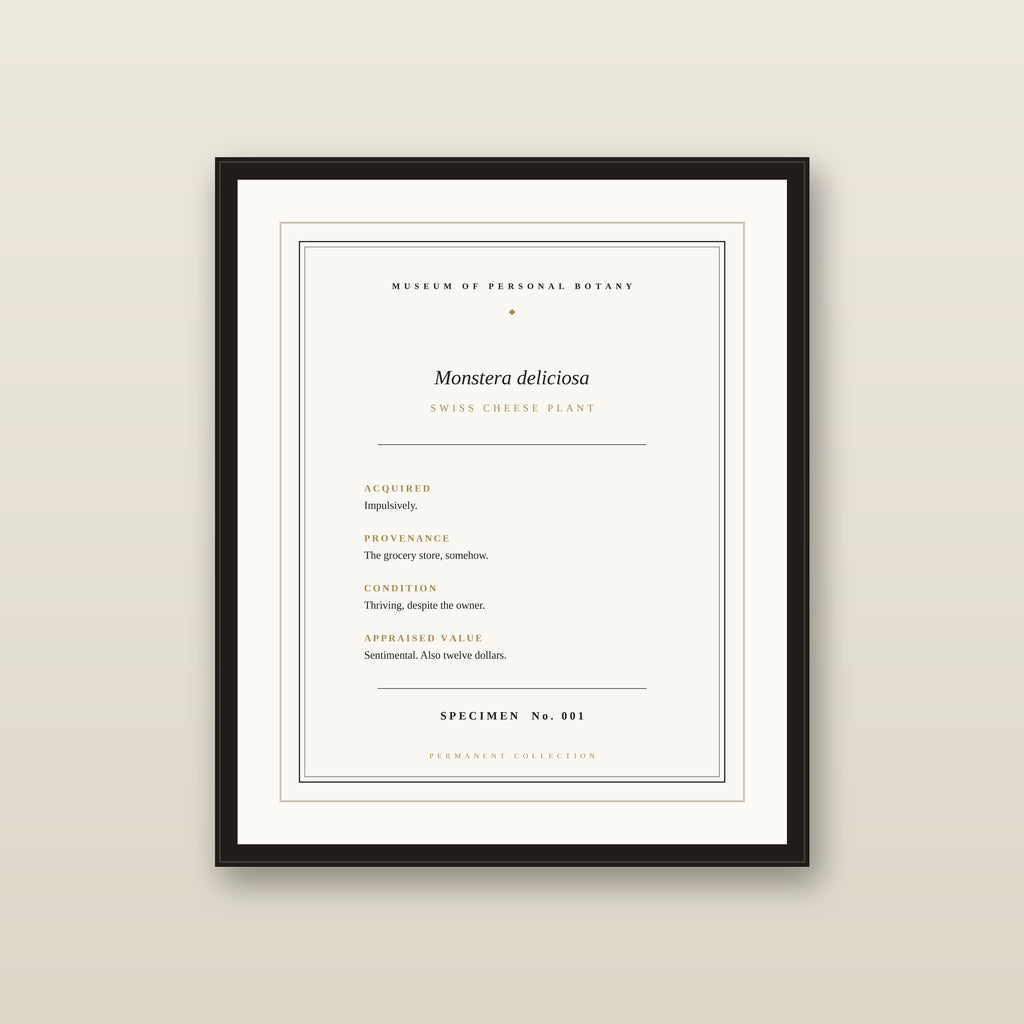 The Museum Placard — Monstera