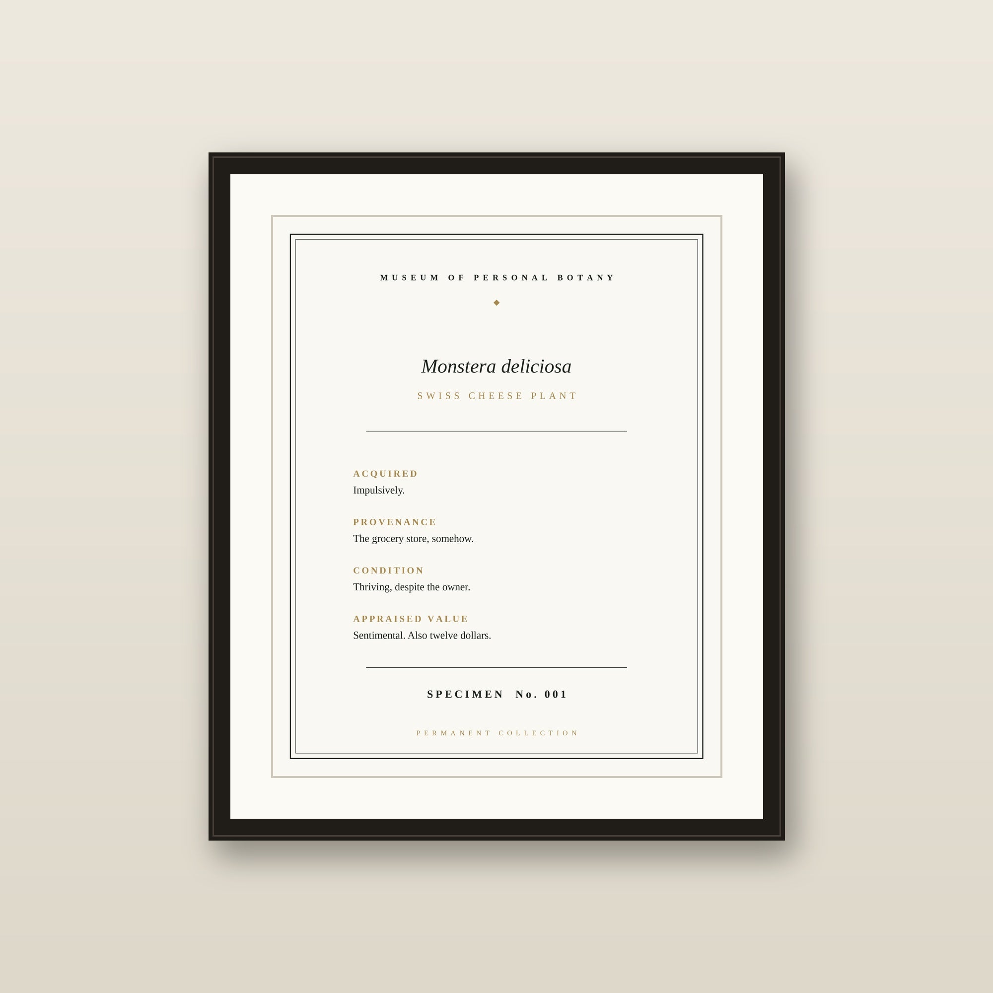 The Museum Placard — Monstera