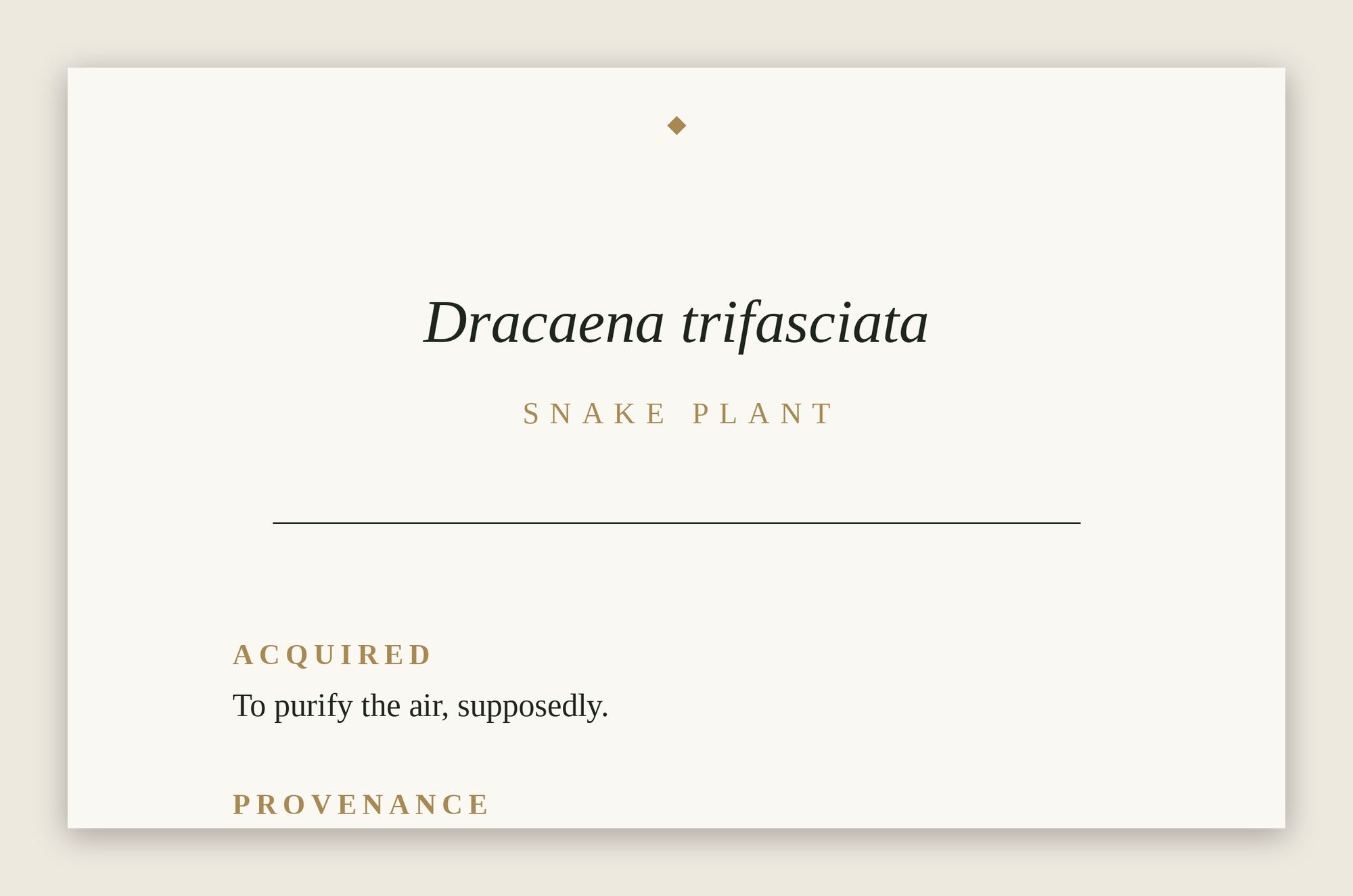 The Museum Placard — Snake Plant