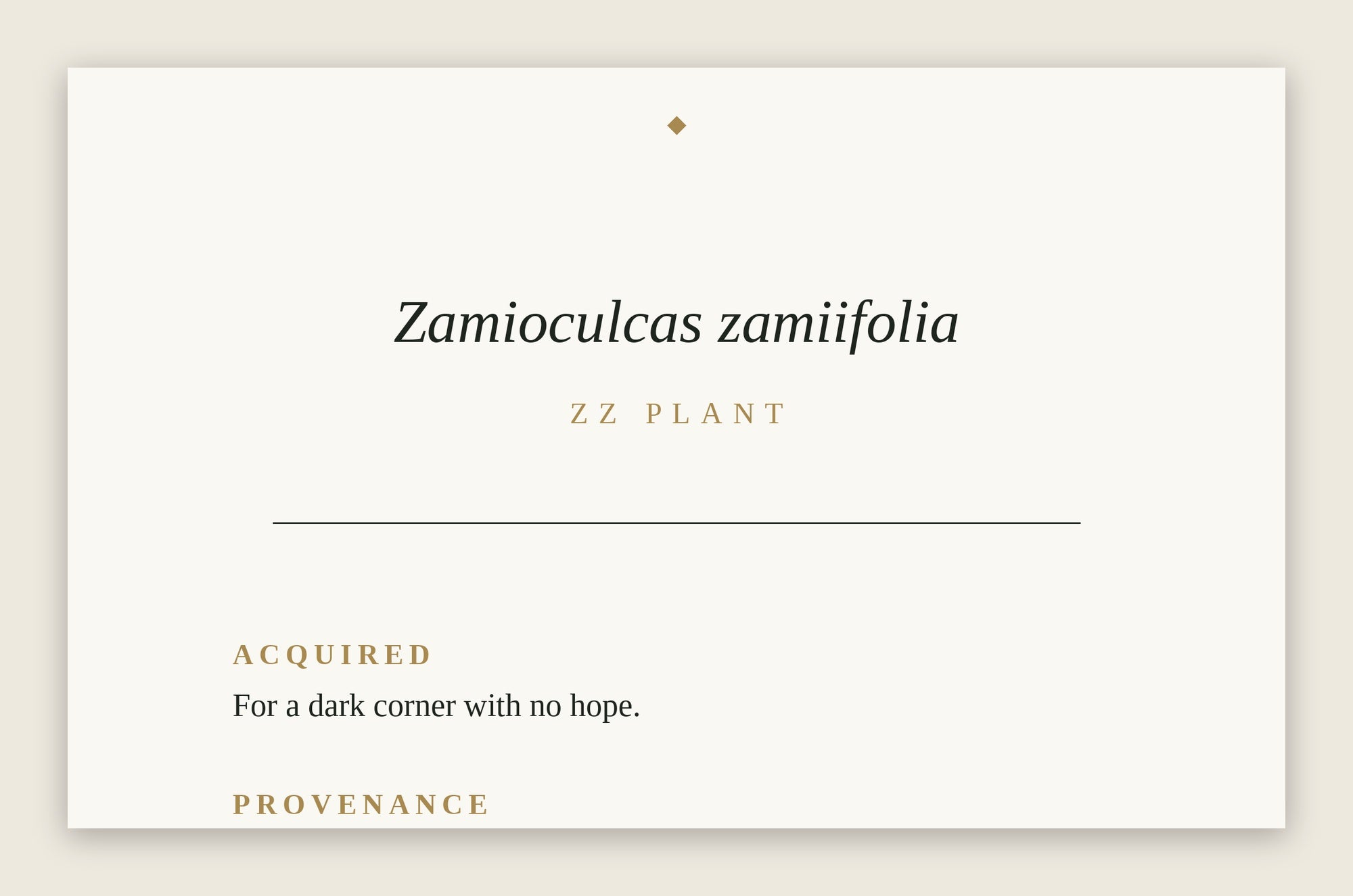 The Museum Placard — ZZ Plant